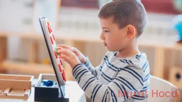 Dil Gelişiminde Gecikme: Hangi Durumlar Riskli? (3-5 Yaş Rehberi)