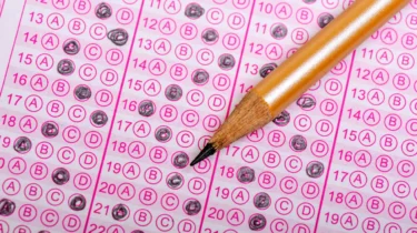 DGS Puan Hesaplama 2026