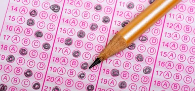 DGS Puan Hesaplama 2026