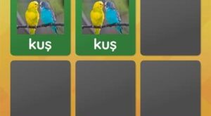 Eşleşen Çiftler Oyunu