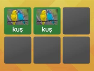 Eşleşen Çiftler Oyunu