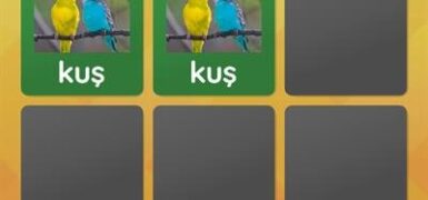 Eşleşen Çiftler Oyunu